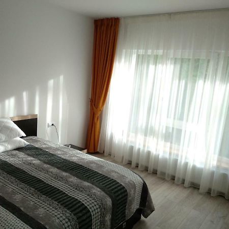 Apartament Ramona Daire Braşov Dış mekan fotoğraf