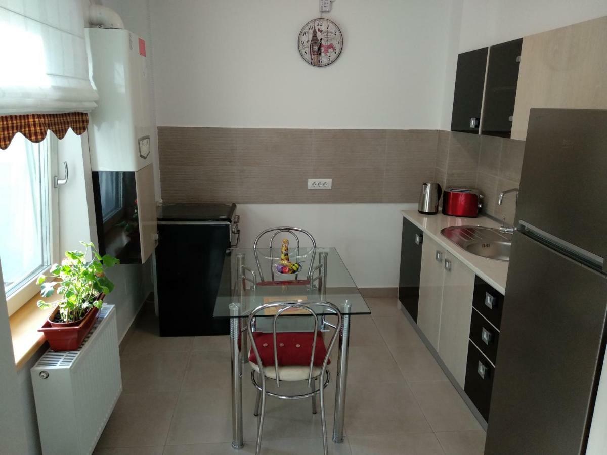 Apartament Ramona Daire Braşov Dış mekan fotoğraf