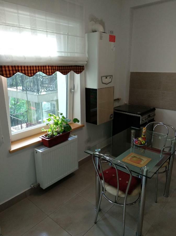 Apartament Ramona Daire Braşov Dış mekan fotoğraf