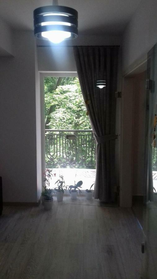 Apartament Ramona Daire Braşov Dış mekan fotoğraf